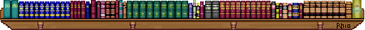 bookshelf_divider.gif (16271 bytes)